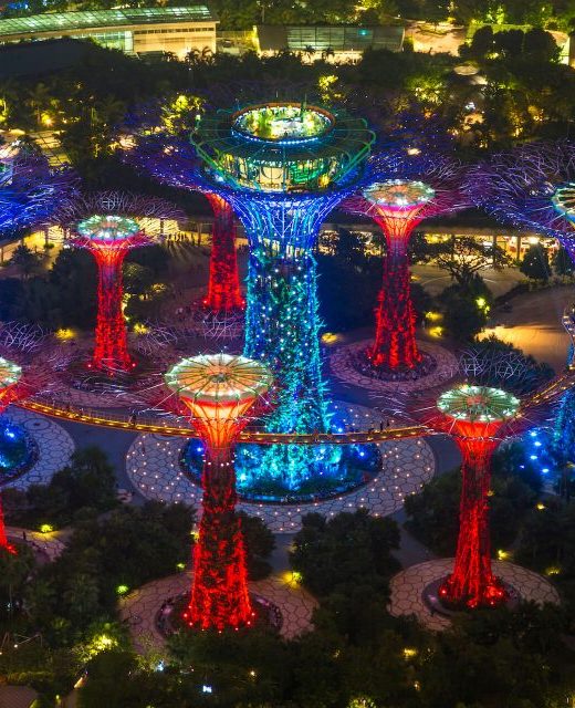 high-angle-view-of-illuminated-supertree-grove-at-2022-03-04-02-35-20-utc-e1671417996239.jpg